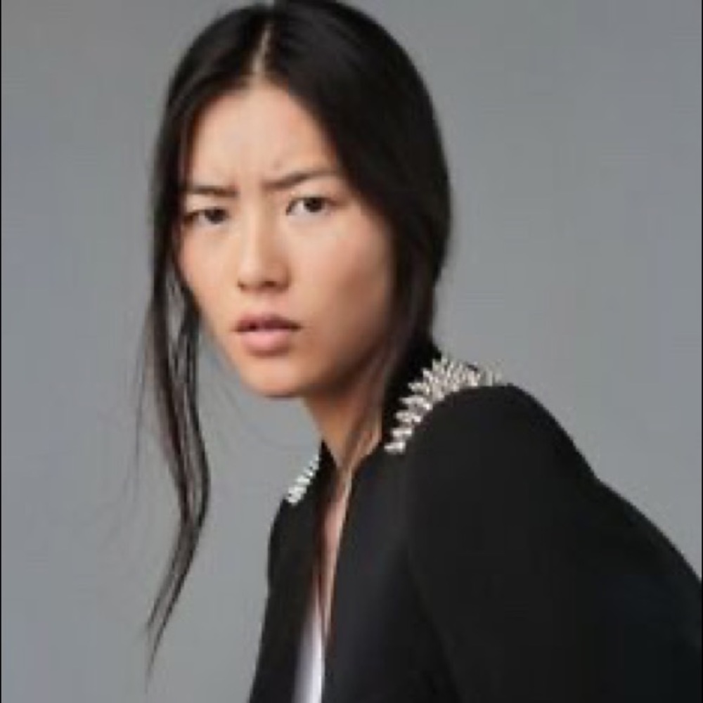 Zara Studded Long Blazer